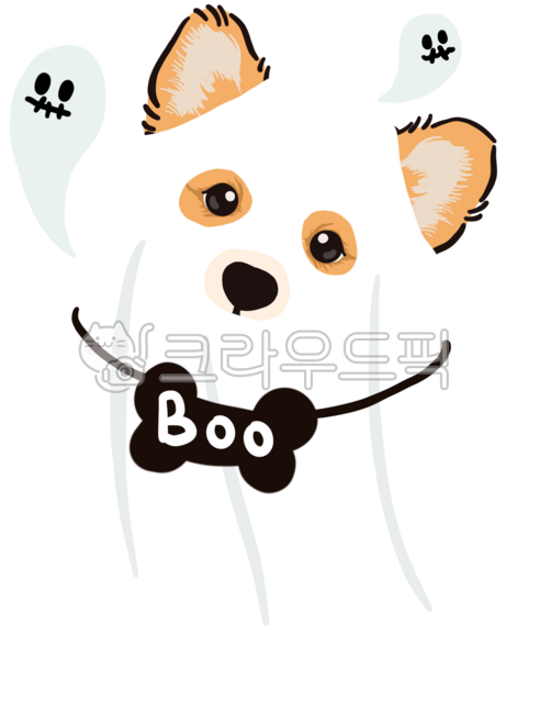 Halloween,Halloween costume,Halloween puppy,dog kindergarten,puppy,dog,animal,Halloween day,Halloween ghost,Halloween character