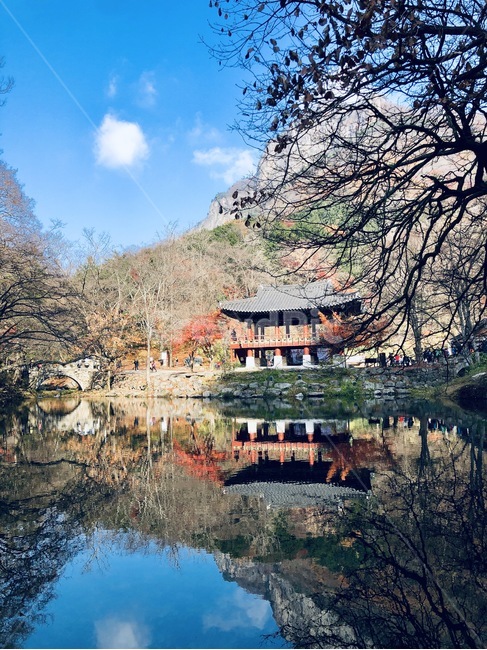 단풍,하늘,절,물거울,가을,백양사,자연,풍경,nature,landscape,한국자연풍경,한국자연경관,korea nature landscape,outdoors,옥외,water,물
