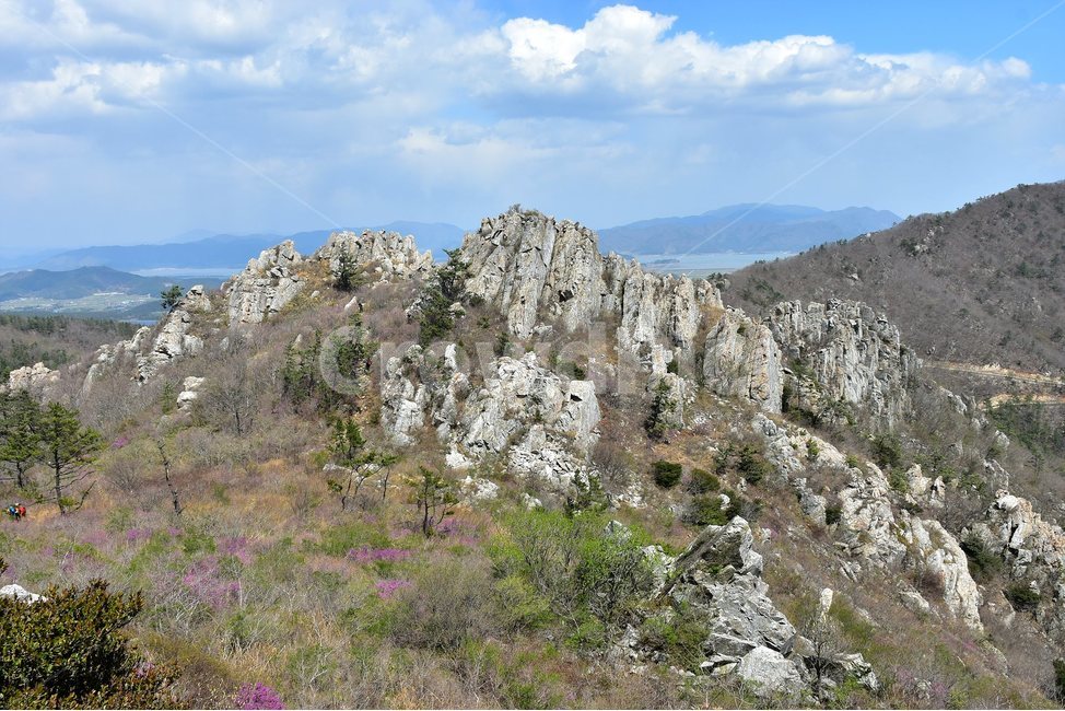 주작산,덕룡산,종주,진달래,풍경,기암,바위,비경,봄풍경,진달래꽃,강진,명산,산행,등산,마운틴,힐링,mountain,landscape,자연,natural,자연,풍경,nature,landscape,한국자연풍경,한국자연경관,korea nature landscape,outdoors,옥외,tree,나무,plant,식물,abies,아비,fir,전나무