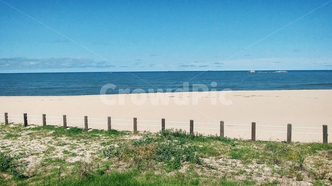 강릉,바다,해변,산책,산책길,숲길,해변가,백사장,해변,바다,beach,sea