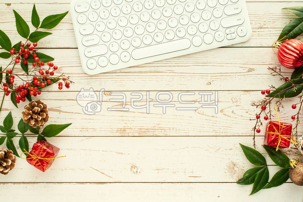 성탄,데코,틀,빨강,나무로되는,가지,베리,초록,네이처,겨울,소나무,나뭇잎,백,우드배경,배경,카피공간,크리스마스,데코레이션,프레임,성탄절,휴가,무늬,초록색,백그라운드,장식품,장식물,장식,모양,꾸밈,솔방울,여백,표지,형판,신선한,빨간열매,열매,키보드,오피스,블루투스,온라인,재택근무,펜,휴일,하얀,빈티지,디자인,plant,식물,leaf,잎,컴퓨터,크리스마스사진공모전