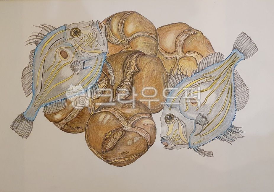 bread,colored pencil drawing,Five loaves of bread,peter fish,fish,Christian,new drug,Christianity,barley bread