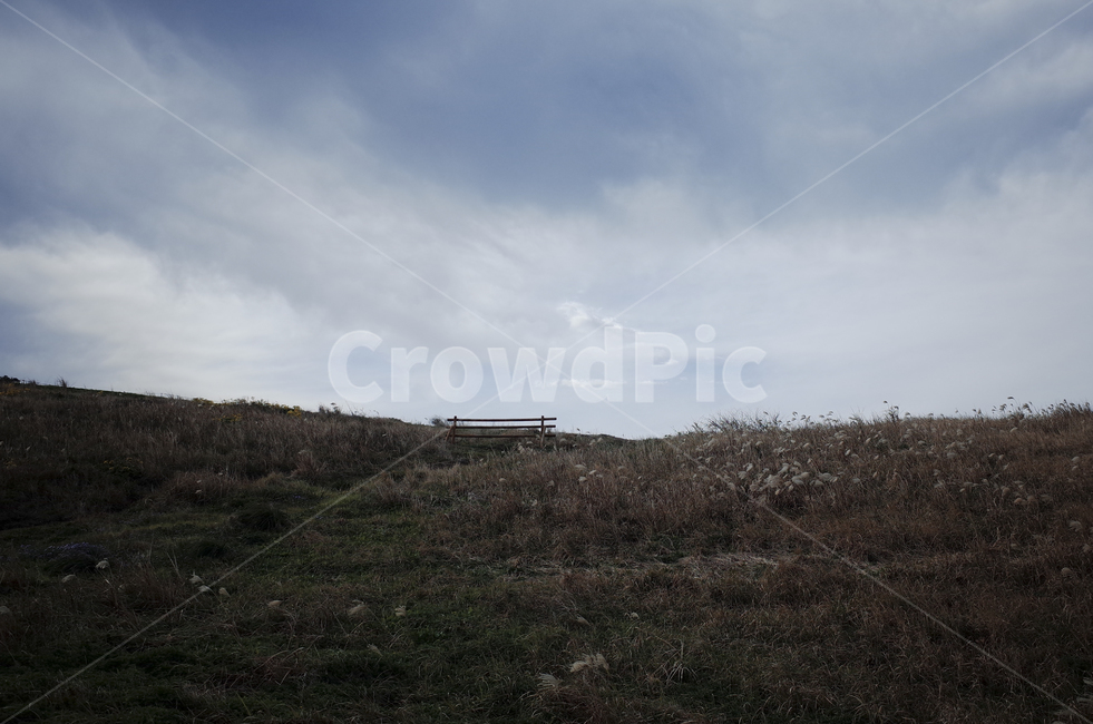 slope,경사,nature,자연,outdoors,옥외,언덕,hill,field,들,grassland,목초지,하늘,구름,sky,cloud,clouds,bluesky,푸른하늘,파란하늘