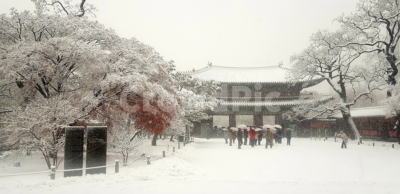창덕궁,설경,첫눈,서설,고궁,palace,firstsnow,changdeokgungpalace,겨울,계절,winter,season,한국전통,한국문화,korean traditional,korean culture,사람들,대중,군중,other people,crowd,건축물,건물외관,exterior,building,structure,architecture,construction