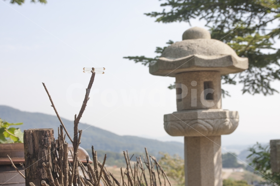 항아리,잠자리,가을,곤충,날개,등,fall,dragonfly,insect,wing,pot,jar,crock,조각상,동상,석상,조형물,statue,bronze statue,stone statue,한국전통,한국문화,korean traditional,korean culture,동물,animal,곤충,벌레,insect,bug