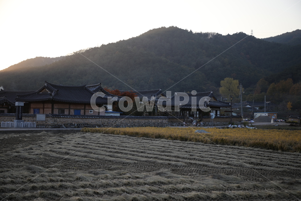 시골,가을하늘,가을,자연,노을,자연,풍경,nature,landscape,한국자연풍경,한국자연경관,korea nature landscape,시골,마을,country,rural,town,한국전통,한국문화,korean traditional,korean culture,building,건물