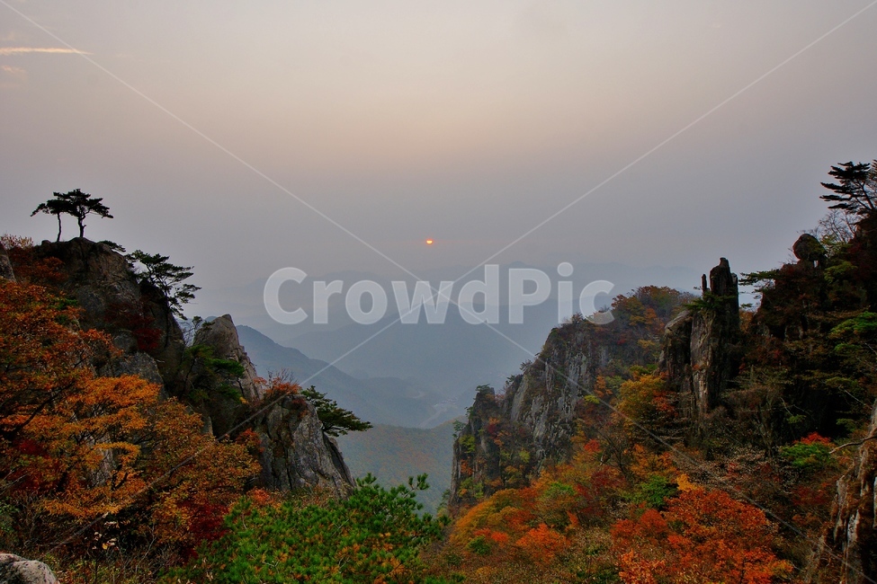대둔산,가을,단풍,일출,산,가을,계절,fall,autumn,season,자연,풍경,nature,landscape,한국자연풍경,한국자연경관,korea nature landscape,tree,나무,plant,식물,outdoors,옥외,abies,아비,fir,전나무