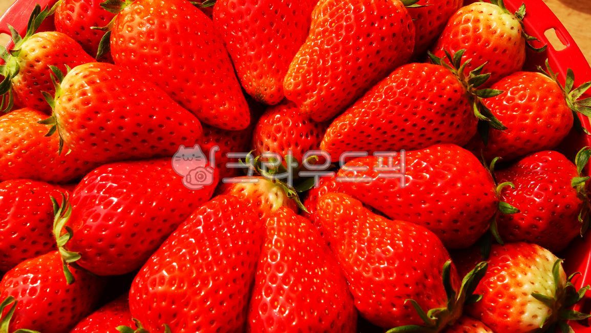 딸기,열매,과일,음식,식재료,농산물,food,fruit,strawberry