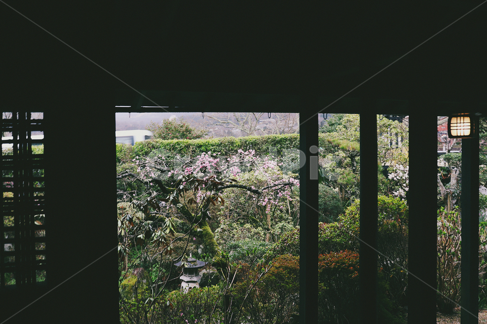 봄,풍경,창밖,조명,spring,봄,계절,spring,season,인테리어,실내디자인,interior design,gate,문,garden,정원,outdoors,옥외
