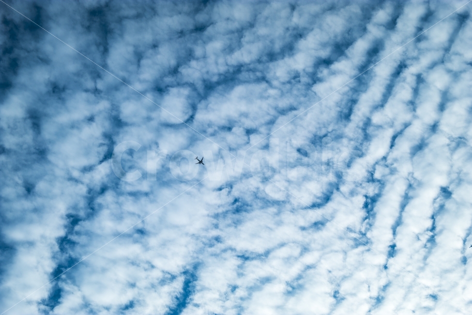 하늘,구름,양떼구름,비행기,sky,cloud,airplane,자연,풍경,nature,landscape,outdoors,옥외,azure sky,푸른 하늘