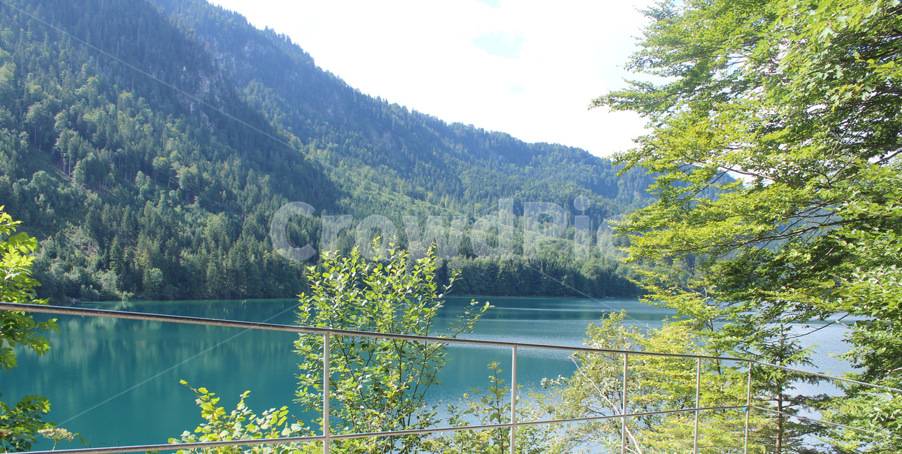 호수,자연,호숫가,강,휴식,nature,relax,lake,river,자연,풍경,nature,landscape,tree,나무,plant,식물,water,물,outdoors,옥외,fir,전나무
