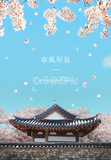 벚꽃,꽃,한옥,프레임,봄,감성,봄,계절,spring,season,한국전통,한국문화,korean traditional,korean culture,식물,자연,plants,nature,꽃,flower,건축물,건물외관,exterior,building,structure,architecture,construction,그래픽,일러스트레이션,graphic,illustration,worship,예배,temple,신전,건물,shrine,신사
