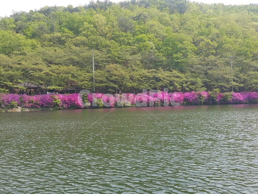전북,진안,마이산,국립공원,문화재,자연,풍경,nature,landscape,outdoors,옥외,water,물