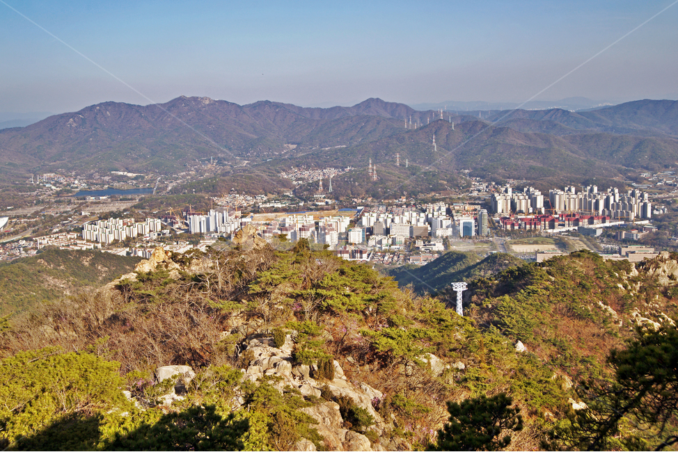 관악산,과천,경기도,산,아파트공사,건설,청계산