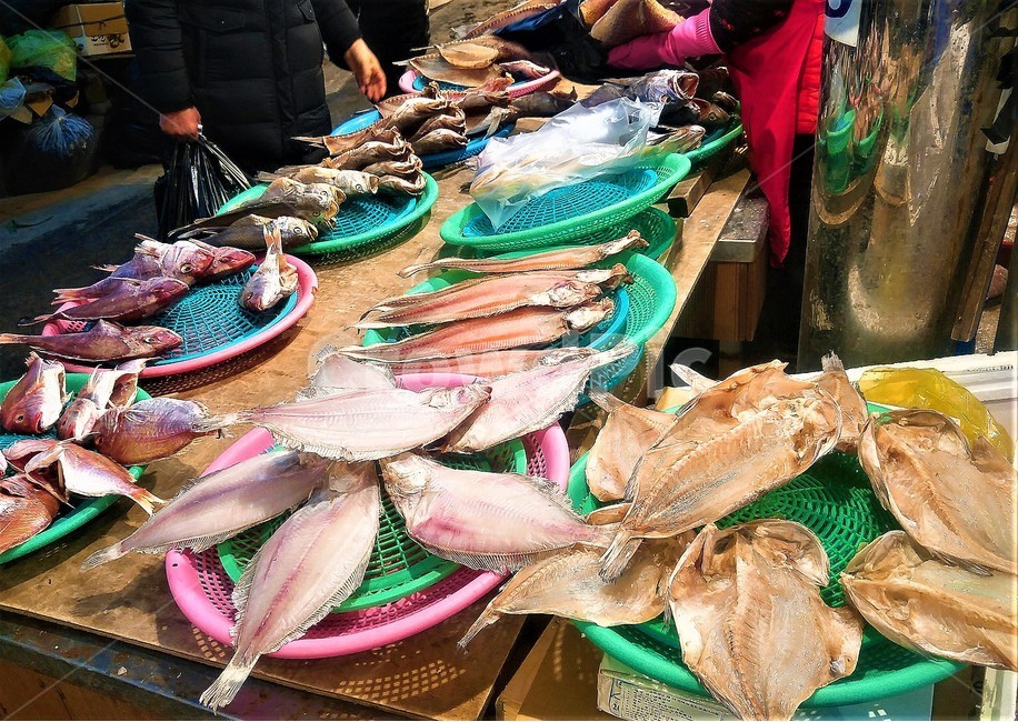 해산물,물고기,시장,seafood,market,시장,마트,마켓,market,mart,market place