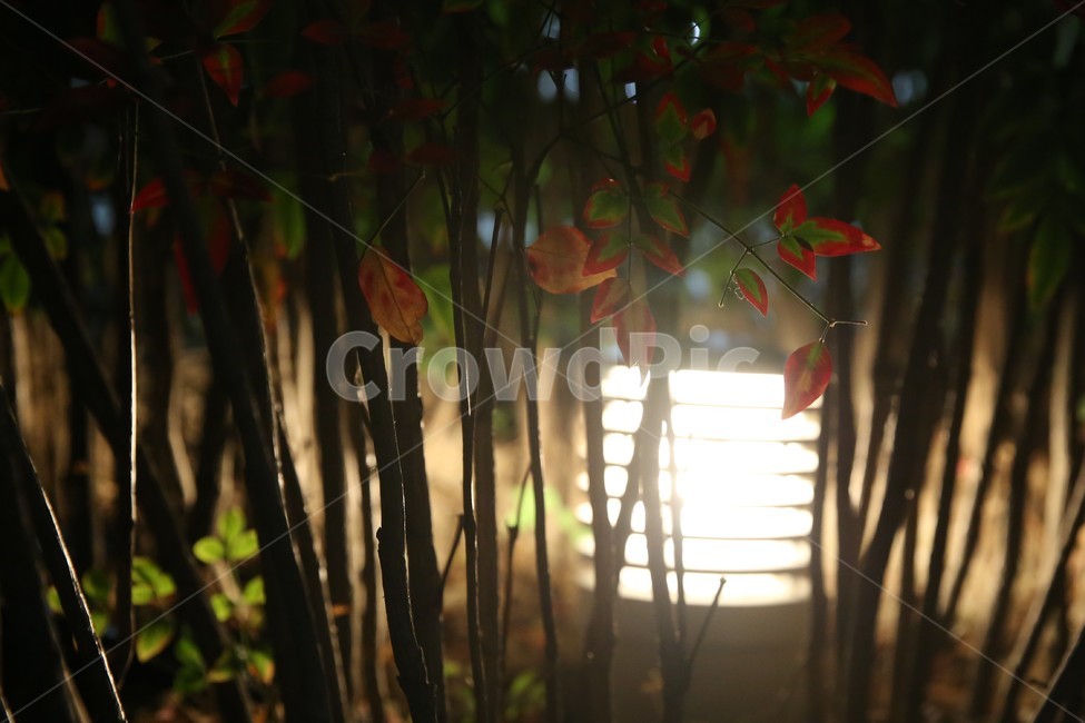 부산,부산여행,여행,풍경,부산풍경,야경,부산야경,야경,밤,풍경,nightscape,night,landscape,light,빛,flare,플레어