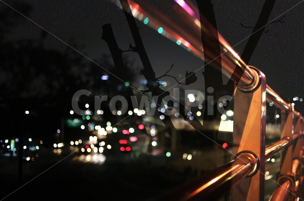 불빛,합성,벗꽃나무,밤,거리,가이드라인,야경,밤,풍경,nightscape,night,landscape,도시,city,감성,sensible,feeling