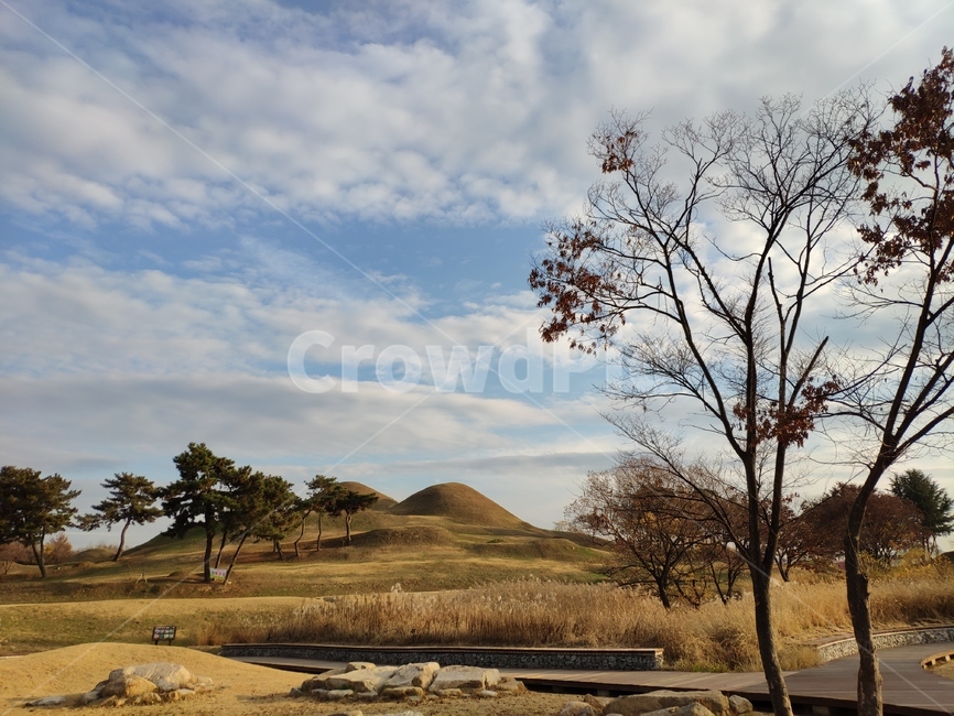 대구,불로동,고분군,풍경,배경,자연,풍경,nature,landscape,field,들,grassland,목초지,outdoors,옥외,savanna,대초원