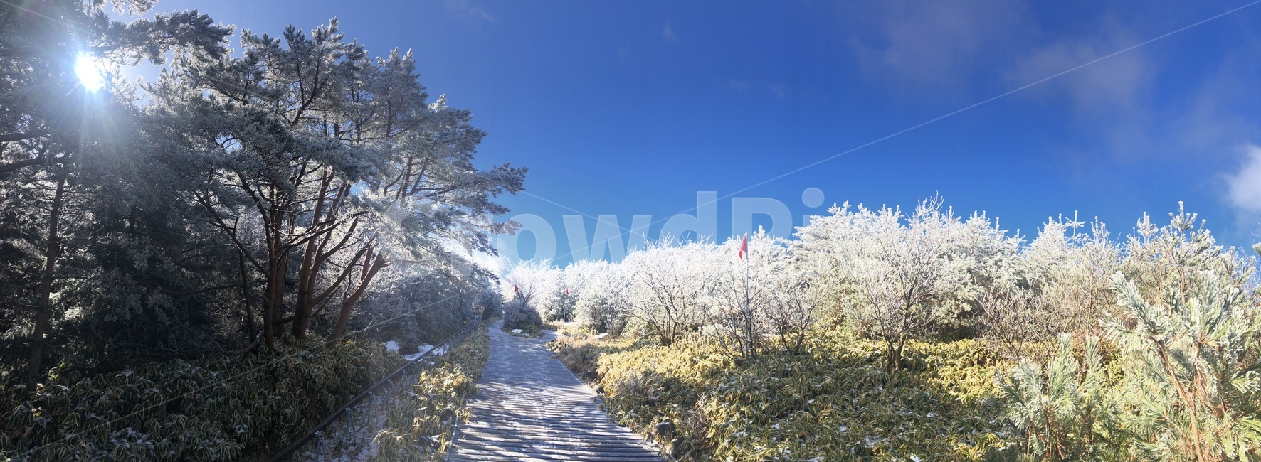 제주도,한라산,겨울산행,어리목,설경,눈꽃,jeju,mthalla,자연,nature,파란하늘,트레킹,trecking,겨울,winter,겨울산,탐방로