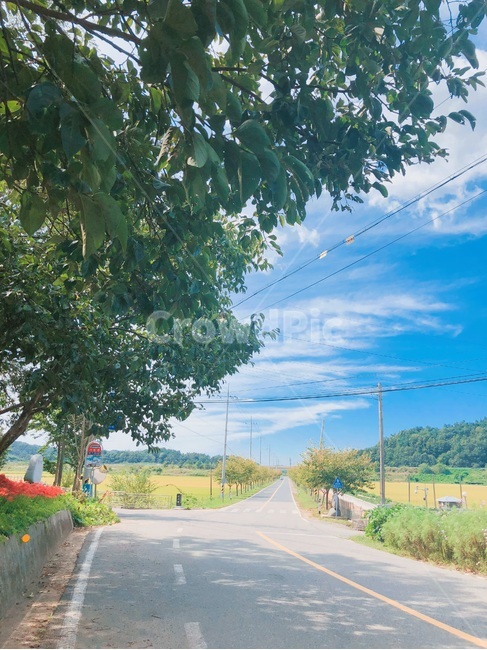 시골,동네,가을,푸름,구름,시골,마을,풍경,landscape,country,rural,town