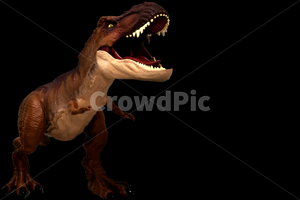 animal,동물,dinosaur,공룡,티라노사우루스,티라노,티렉스,입벌린,검은배경