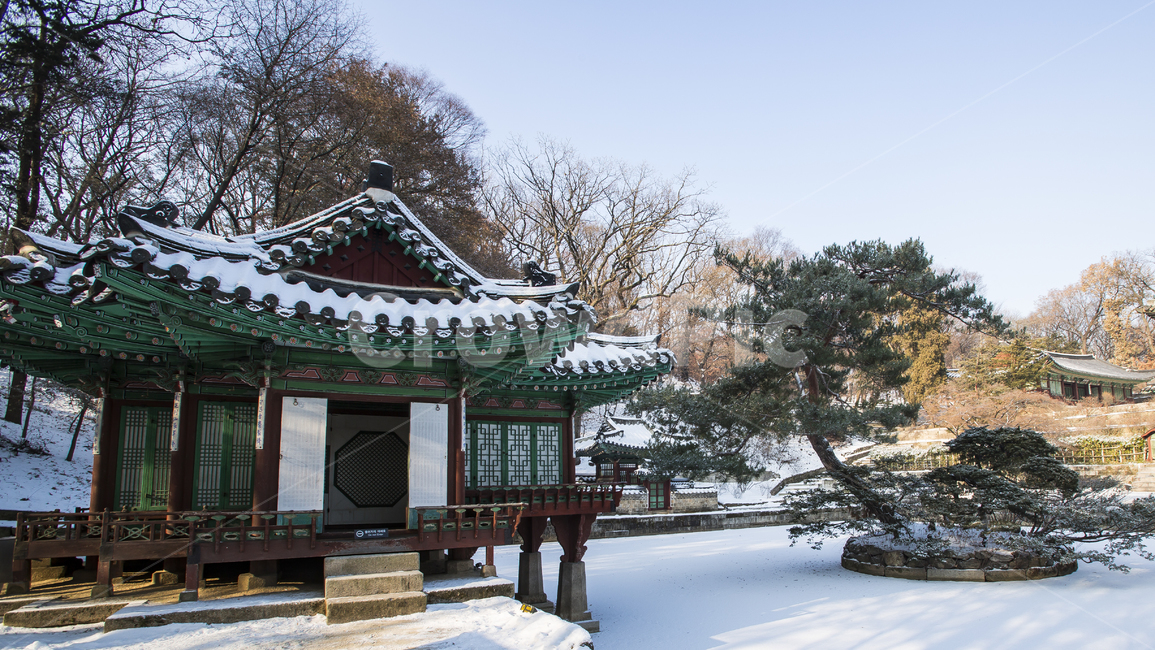 고궁,역사,서울,창덕궁,비원,조선,겨울,계절,winter,season,한국전통,한국문화,korean traditional,korean culture,랜드마크,landmark,tourist attraction,한국랜드마크,한국관광지,한국명소,korea landmark,korea tourist attraction,건축물,건물외관,exterior,building,structure,architecture,construction
