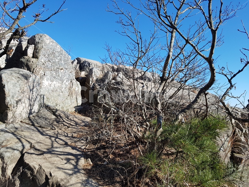 산,자연,금정산,나무,바위,mountain,tree,rock,outdoors,바위산,자연,풍경,nature,landscape