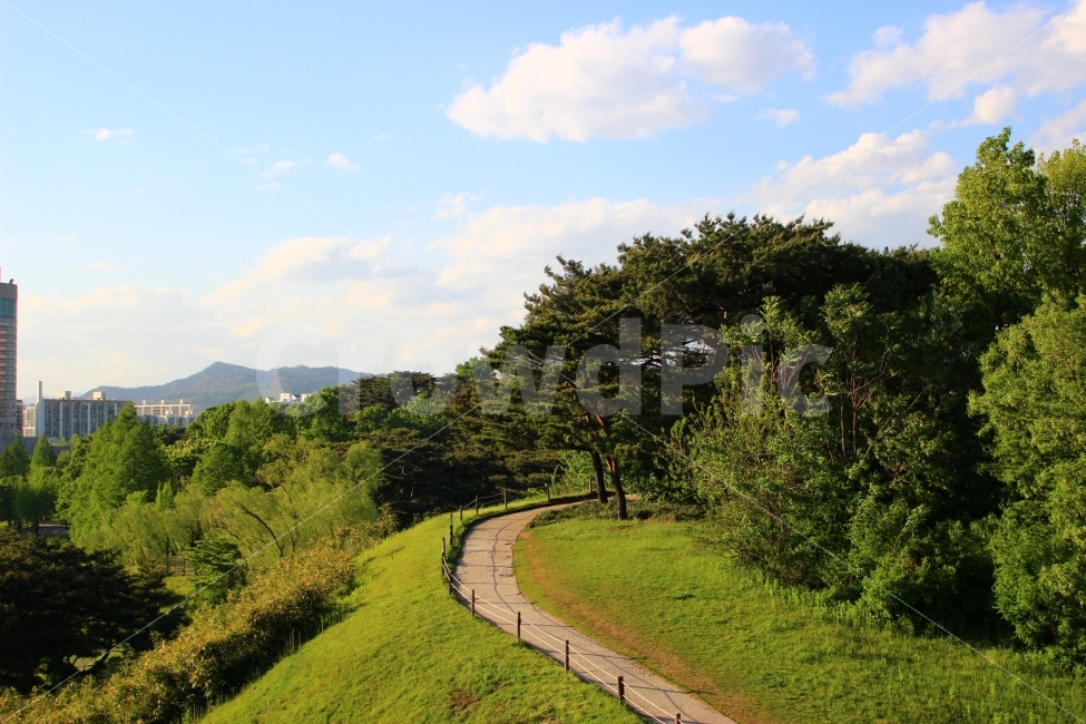 올림픽공원,가을,하늘,자연,풍경,공원,구름,산책,자연,풍경,nature,landscape,outdoors,옥외