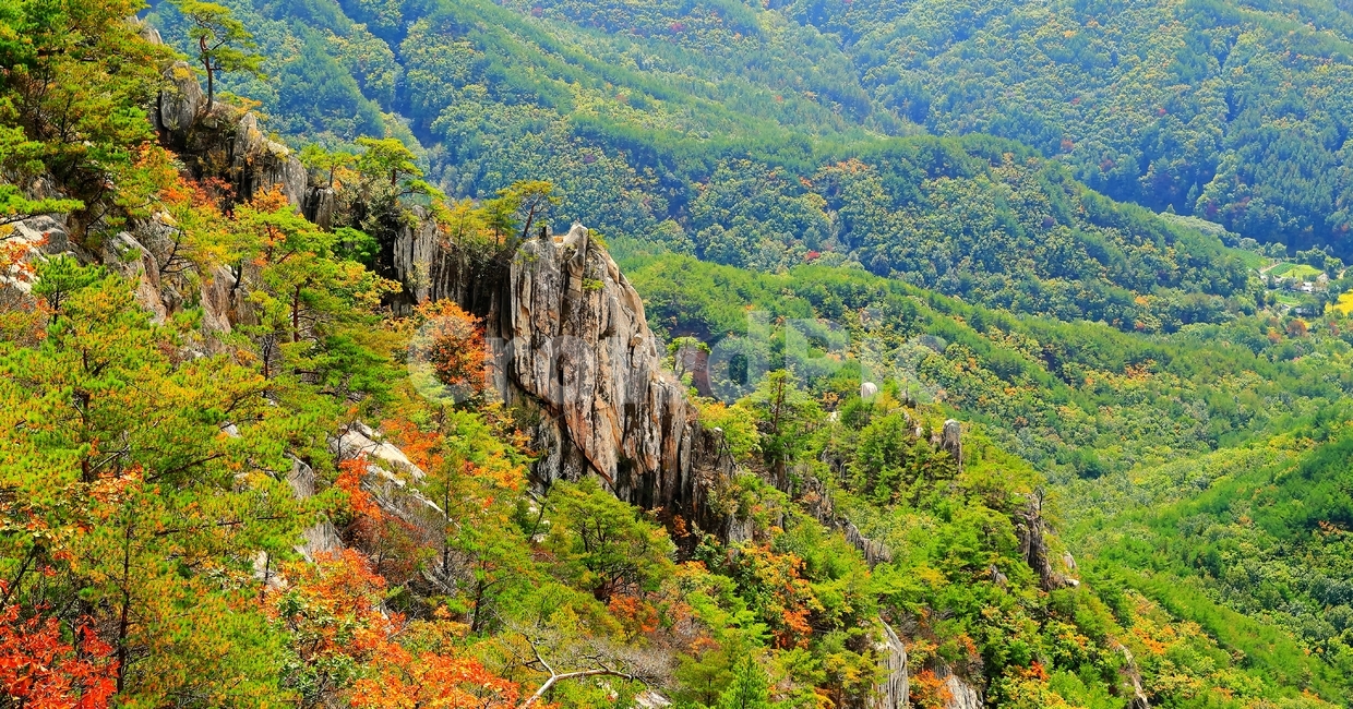 도락산,가을,산,암릉,나무,자연,풍경,nature,landscape,outdoors,옥외,mountain