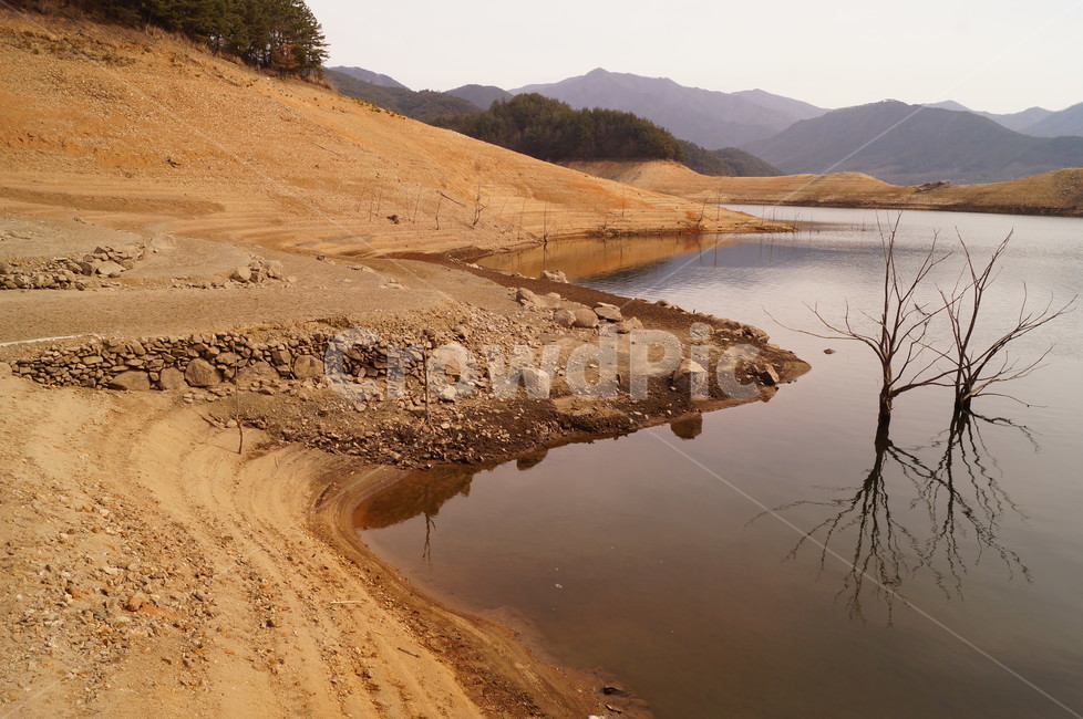 풍경,호수,나무,물그림자,수몰지,자연,자연,풍경,nature,landscape,outdoors,옥외,water,물