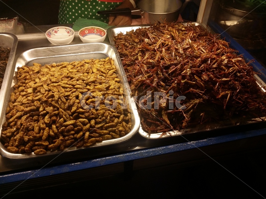 벌레,음식,튀김,food,meal,음식,식재료,요리,food,cook,meal,dishes,food reserves