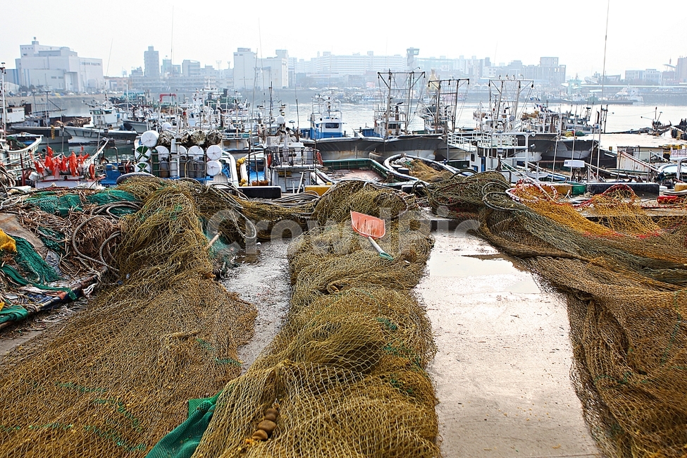 그물,어망,투망,망,장비,어업,어부,물고기,상선,고기잡이,어업,fishery,fishing industry