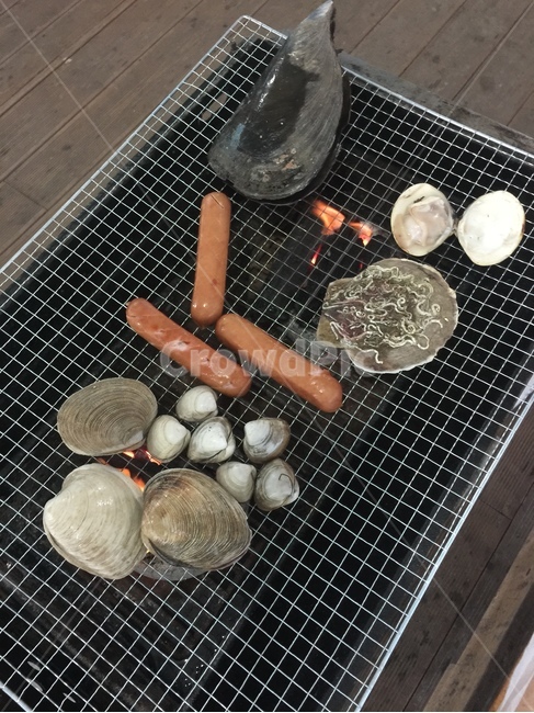 조개구이,야외캠핑,캠핑,소세시구이,여름