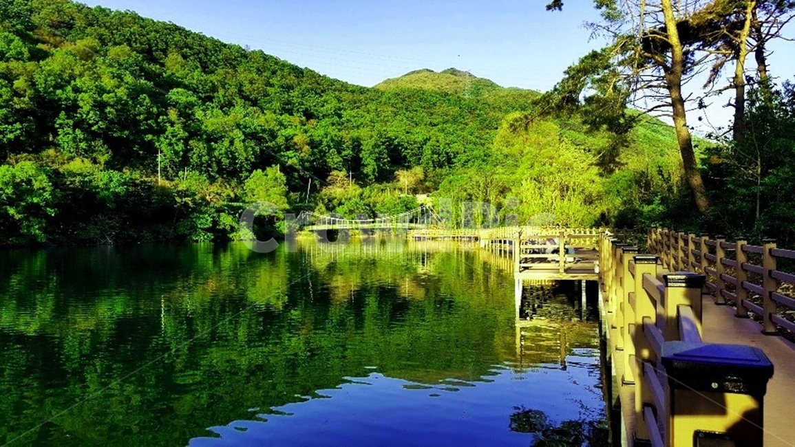 풍경,둘레길,자연,나무,저수지,물,자연,풍경,nature,landscape