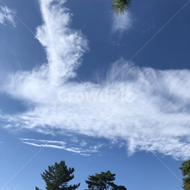 하늘,파란하늘,맑은하늘,구름,구름있는하늘,가을하늘,좋은풍경,자연,풍경,nature,landscape,tree,나무,plant,식물,outdoors,옥외