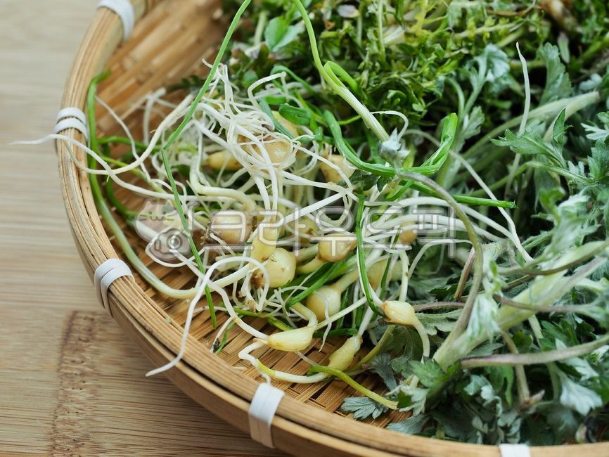 wellnessfood,foodingredients,rootvegetable,vegetable,springherb,spring greens,herbs,spring,Wellbeing food,root,Food Ingredients,herb,vegetariandiet,Herbs,root plant,green,vegetarian diet,Soothe,leaf,shepherds purse,food,Herb,Mugwort,root vegetables,plant,
