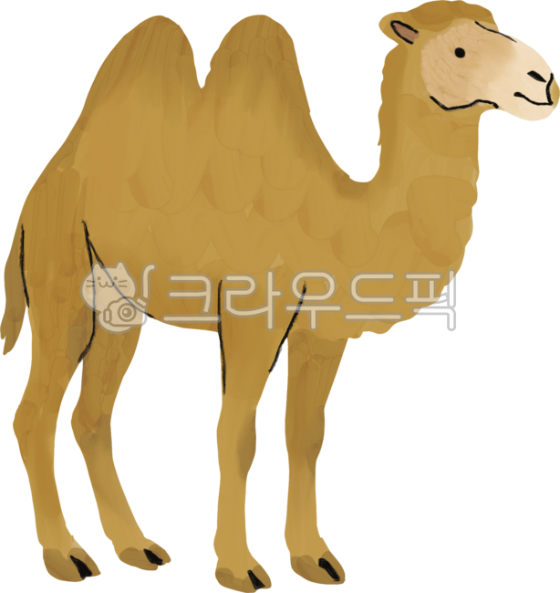 Camel,desert animal,animal with hump,brown animal,flat camel,animal drawing,emotional camel,dryland animal,wild mammal,emotional drawing,mammal design,pack animal,desert travel animal,long legged animal,street animal,gentle animal,slow wal
