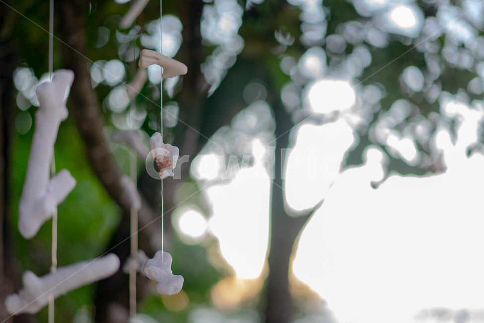 돌,stone,아웃포커싱,장식,풍경
