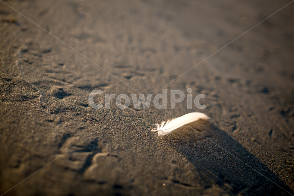 모래사장,해변,깃털,해질녘,백사장,감성,여름바다,바다감성,해변,바다,beach,sea,감성,sensible,feeling