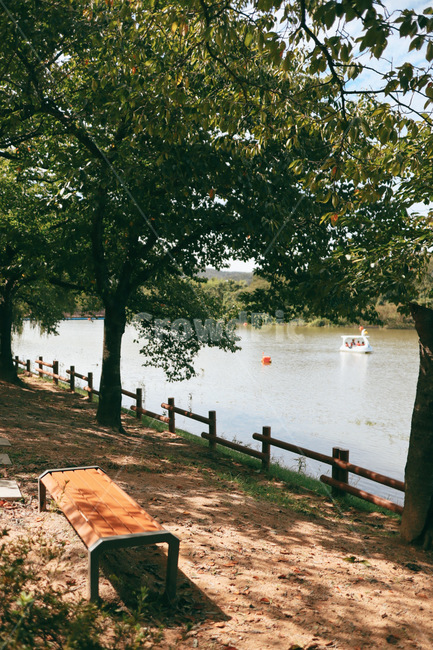 벤치,가구,bench,water,물,furniture,공원,오리배,햇살,쉼