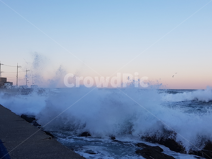 파도,바다,물,자연,wave,sea,water,nature,강릉,강원도,자연,풍경,nature,landscape
