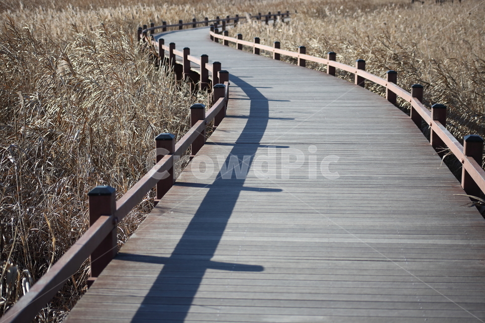 길,탐방로,순천만습지,갈대,scenictrail,산책로,bridge,다리,building,건물,boardwalk,산책로