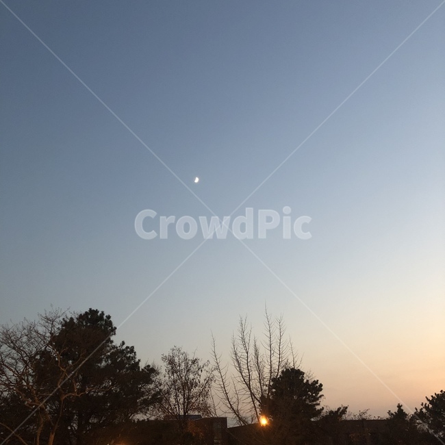 하늘,달,밤,새벽,낮,노을,자연,풍경,nature,landscape,light,빛,flare,플레어,outdoors,옥외,sunlight,햇빛