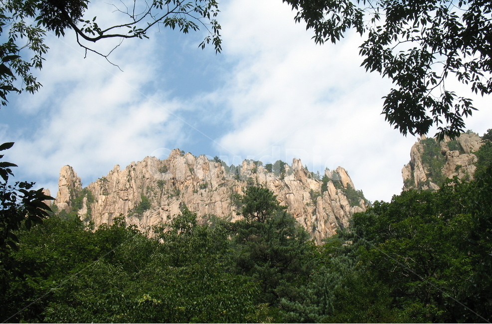 설악산,희운각,무너미고개,신선봉,공룡입구,자연,풍경,nature,landscape,한국자연풍경,한국자연경관,korea nature landscape,outdoors,옥외,tree,나무,plant,식물