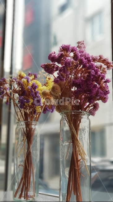 창가,꽃,window,vase,flower,꽃병