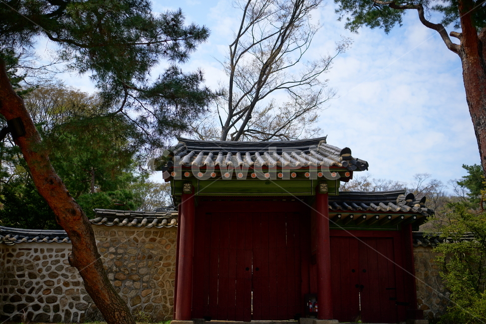 창경궁,하늘,봄,서울,한국,대한민국,korea,spring,changgyeonggungpalace,palace,changgyeonggung,seoul,cherryblossom,tree,자연,nature,식물,plants,한국적인,한국자연,한국풍경,경치,landscpae,4월,april,봄꽃,구름,sky,cloud,왕궁,궁전,궁궐,한옥,조선시대,조선왕조,역사,히스토리,문화,문화재,history,정원,건물,건축물,한국전통,전통,한국문화,한국문화재,culturalproperties,culturalassets,한국전통,한국문화,korean traditional,korean culture,건축물,건물외관,exterior,building,structure,architecture,construction