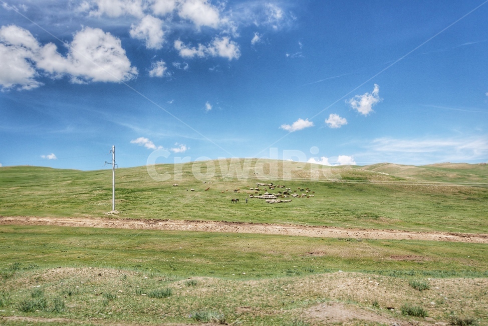 초원,맑은하늘,자연,몽골,짐승,자연,풍경,nature,landscape,해외,외국,세계,foreign,oversea,world,세계자연풍경,해외자연풍경,외국자연풍경,world nature landscape
