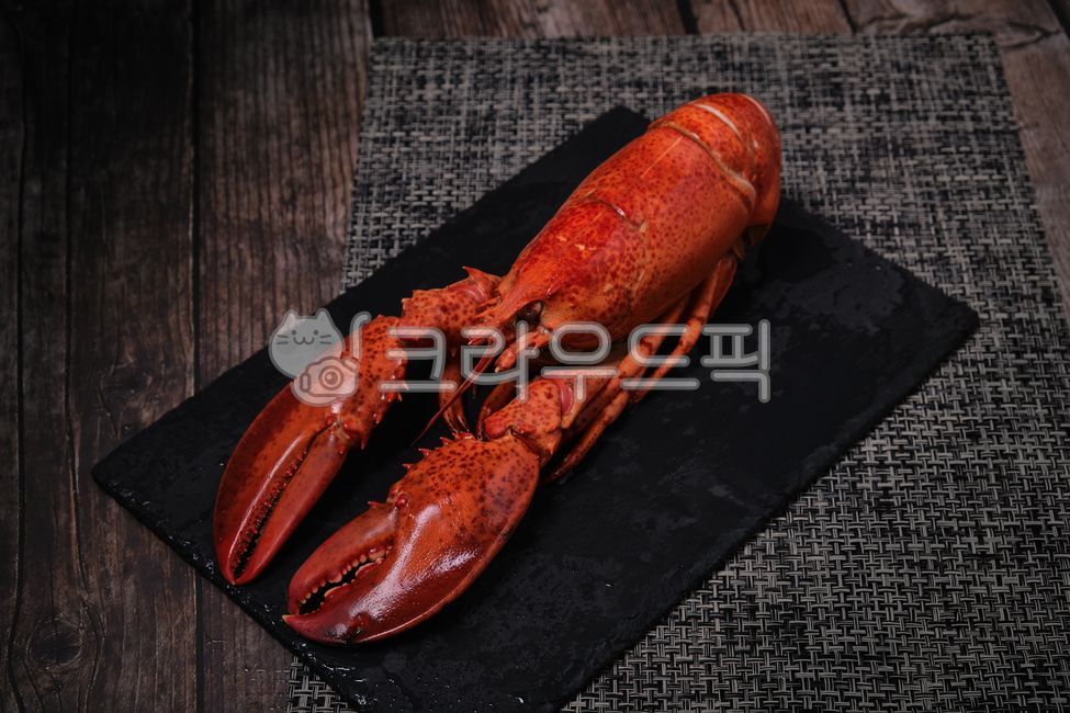랍스타, 바다, 가재, 랍스타찜, 랍스터, 사진,이미지,일러스트,캘리그라피 - 베키v작가