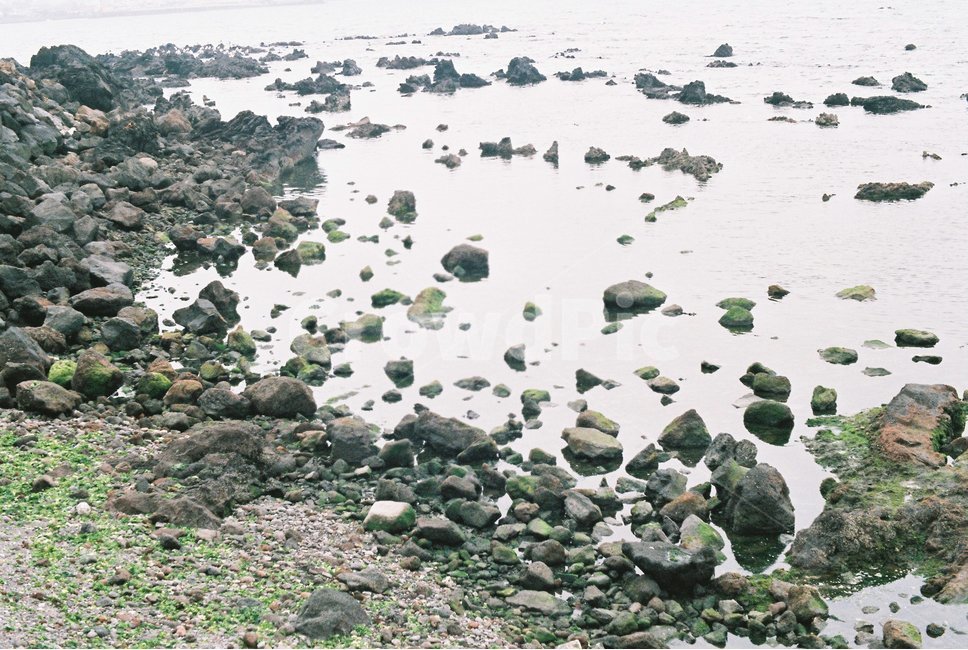 바위,바다,돌,제주도,힐링,자연,풍경,nature,landscape,한국자연풍경,한국자연경관,korea nature landscape,제주도,jeju,jeju island,감성,sensible,feeling,water,물,shoreline,해안선,sea,outdoors,옥외,ocean,대양