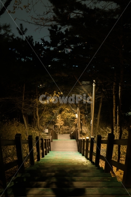 서울,혜화,낙산공원,겨울,야경,길,빛,야경,밤,풍경,nightscape,night,landscape,banister,난간,handrail,railing,water,물